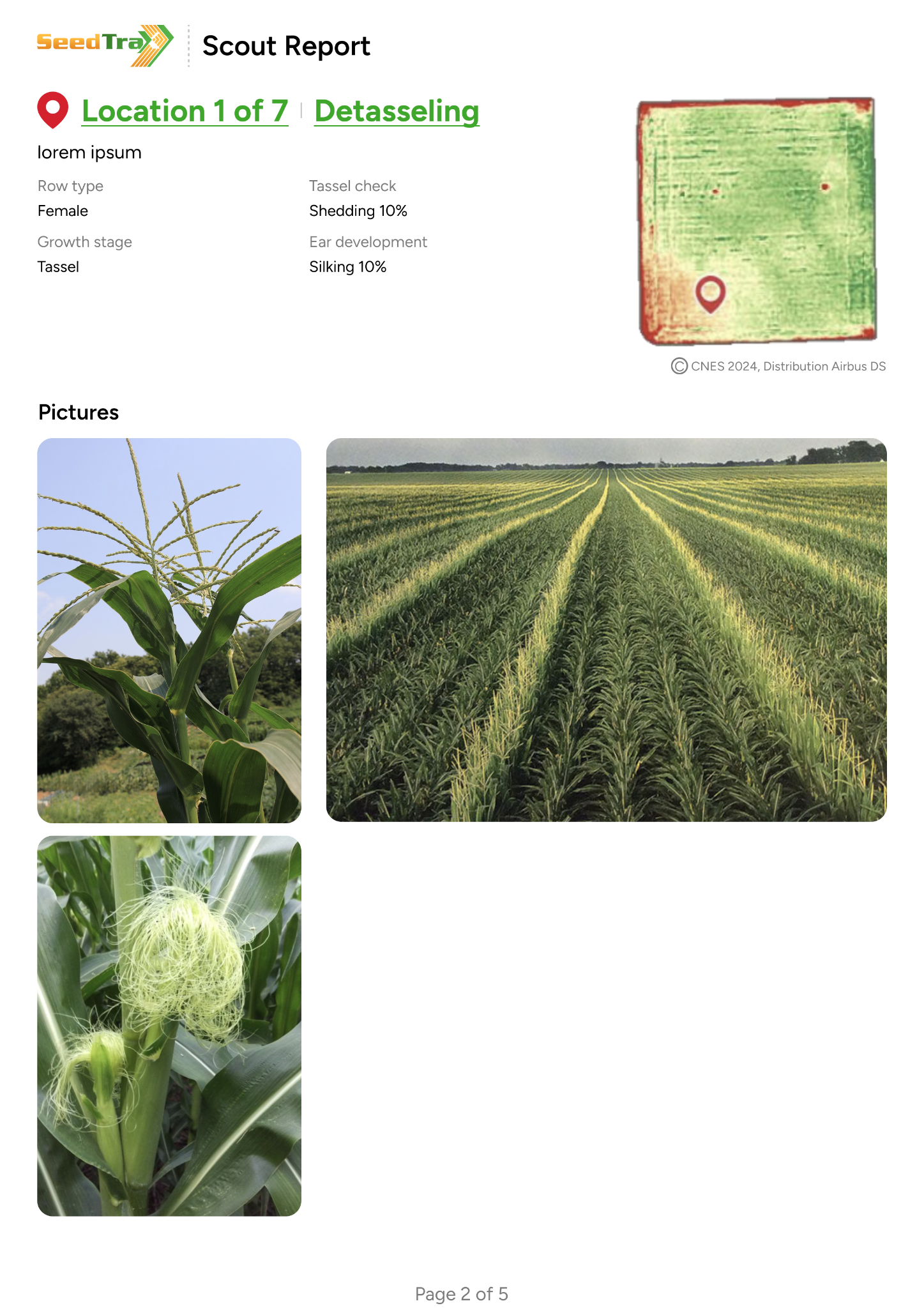 SeedTrax Scout Report - Location detail with tassel check and field photos